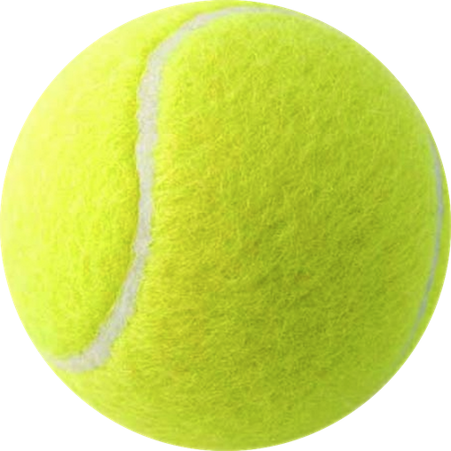 Padel Ball Icon